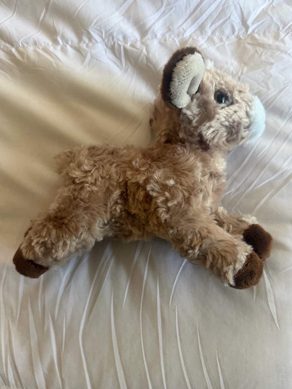 Aurora flopsy paisley goat